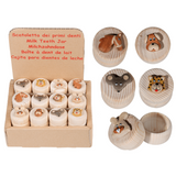 Dsp Milchzahnbox aus Holz. 5 Sortiment.