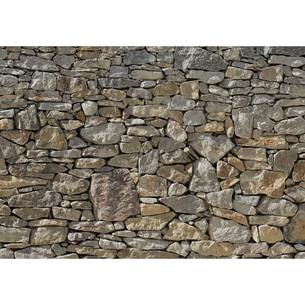 Komar Komar Foto Wallpaper Stone Mauer 368x244 cm 8-727