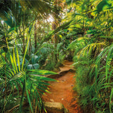 Komar Foto Wallpaper Jungle Trail 368x254 cm