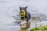 Trixie Aqua Toy Nachziehspielzeug TPR Limette