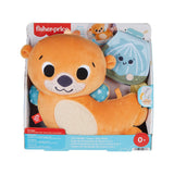 Fisher-Price 2-in-1 Schaukelotter – Kuscheltier