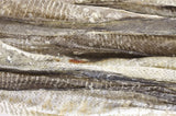 Sn'urk snoring cod skin