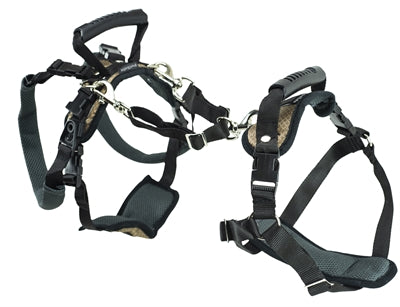 Solvit PetSafe Carelift vorne und hinten