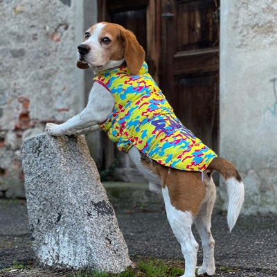 Croci Dog Chaqueta Noticias falsas Fucsia Amarillo Azul Fucsia