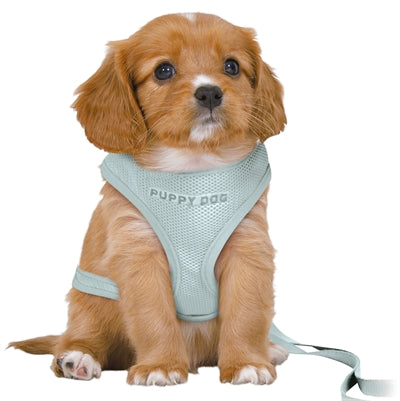 Trixie Hundegeschirr Junior Welpe Softgeschirr mit Leine mintgrün