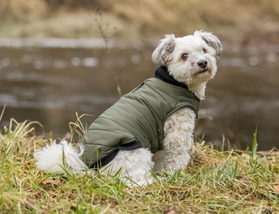 Trixie dog jacket arlay dark green