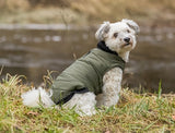 Veste de chien trixie arlay vert foncé