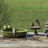 Lo mejor para el baño de pájaros para pájaros alrededor de la cerámica verde