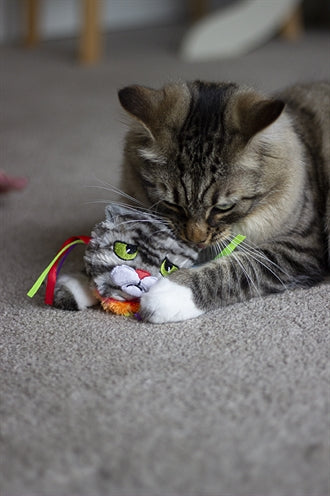 Rosawood Moody Moggy Rainbow Grey Toys