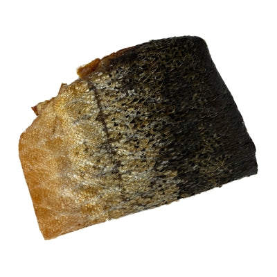 Freds Salmon Skin Barkstasc Dog Snack