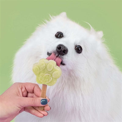 SNOOFL ICE Mal