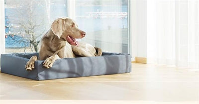 Bia bed artificial leather cover dog basket gray