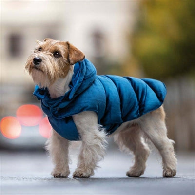 Croci Hundemantel mit Samtfutter in Blau