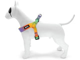 Morso Mini-Hundegeschirr, verstellbar, recycelte Frühlingsblüte