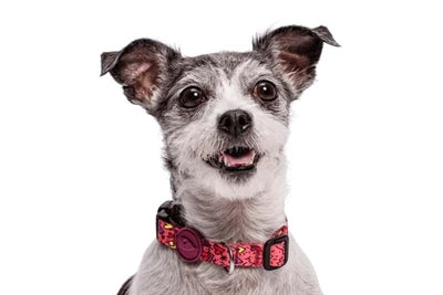 Morso Hundehalsband recycelt rosa Think Pink