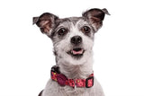 Morso Hundehalsband recycelt rosa Think Pink