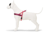 Morso norwegisches Hundegeschirr, recyceltes Pink, Think Pink