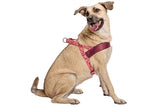 Morso norwegisches Hundegeschirr, recyceltes Pink, Think Pink