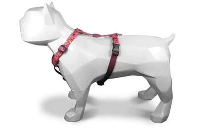 Morso Hundegeschirr H-Geschirr recycelt Pink Think Pink