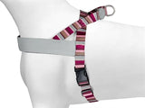 Morso norwegischer Hondentuig Gerecycled Skyline Rood Roze