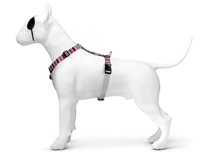 Morso Hundegeschirr H-Geschirr recycelt Skyline rot rosa