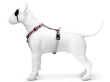 Morso Hundegeschirr H-Geschirr recycelt Skyline rot rosa