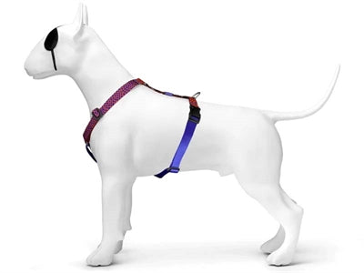 Morso Hundegeschirr H-Geschirr recycelt Urban Lizard Red