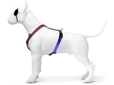 Morso Hundegeschirr H-Geschirr recycelt Urban Lizard Red