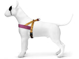 Morso norwegisches Hundegeschirr, recycelte Dschungeltrommel, Orange