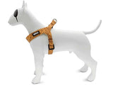 Morso Mini-Hundegeschirr, verstellbar, recycelte Dschungeltrommel, Orange