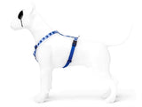Morso Hundegeschirr, H-Geschirr, recycelt, Spritzblau