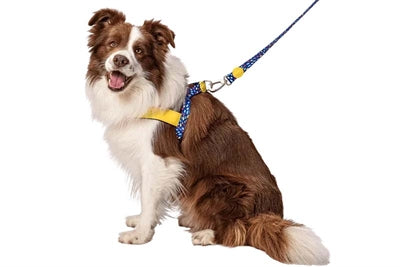 Morso norwegisches Hundegeschirr, recycelt, Farbe Invaders Lila