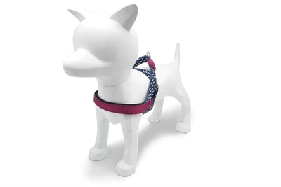 Morso norwegisches Hundegeschirr aus recyceltem Power Flow, schwarz