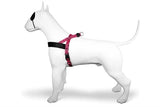 Morso norwegisches Hundegeschirr, recyceltes Bubble Leo Pink
