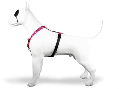 Morso Hundegeschirr H-Geschirr recyceltes Bubble Leo Pink