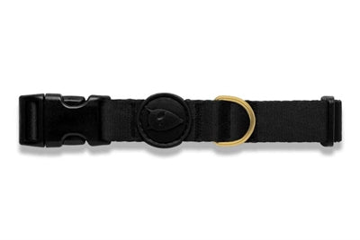 Morso Hundehalsband aus recyceltem Gold, Kaviargold
