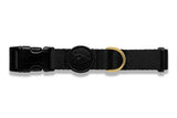 Morso Hundehalsband aus recyceltem Gold, Kaviargold
