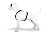 Morso Hundegeschirr, H-Geschirr, recyceltes Gold, Kaviargold