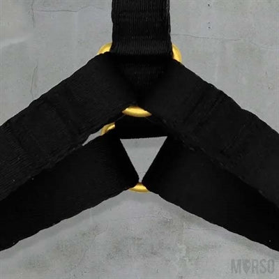 Morso Hundegeschirr, H-Geschirr, recyceltes Gold, Kaviargold