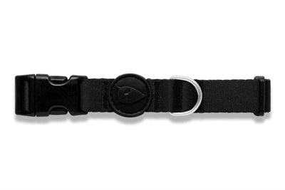 Morso Hundehalsband recycelte Reinheit schwarz