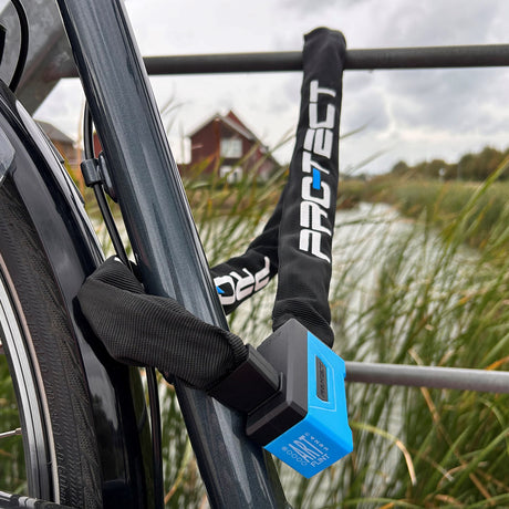 Pro-che-tect Chain Lock Flint Art 1