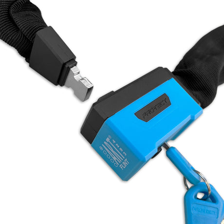 Pro-che-tect Chain Lock Flint Art 1
