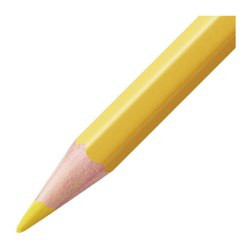 Abi Stlo Aquacolor Federmäppchen mit 12 Stück