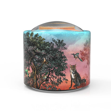 Brilly006 muziekje: peter the wol. 14+