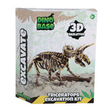 Dino-Basis | 3 Stück