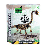Dino-Basis | 3 Stück