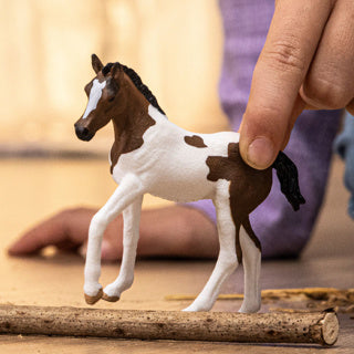 Schleich | 5 Stück