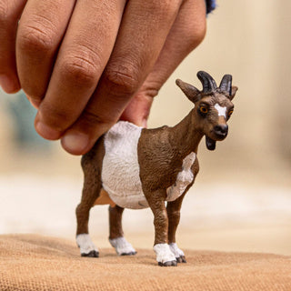 Schleich Bauernhofwelt - Ziege - 14887