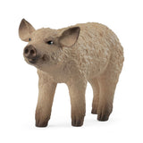 Schleich Bauernhofwelt - Wollschweinchen Ferkel - 14893