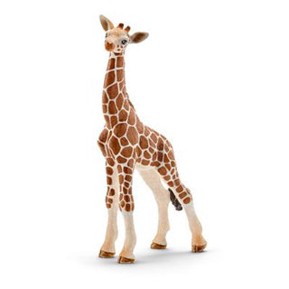 Schleich Wild Life – Baby-Giraffe – Spielfigur – Kinderspielzeug für Jungen und Mädchen – 3 bis 8 Jahre